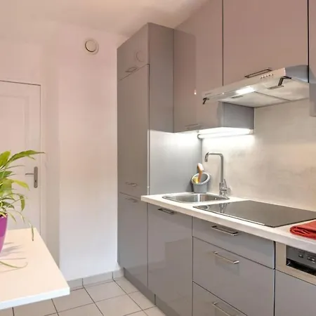 Le Jardin De L'Atrium - Appartement Moderne Proche De Geneve Et Palexpo Saint-Julien-en-Genevois Buitenkant foto